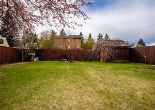Photo 16: 144 Bermuda Way NW in Calgary: Beddington Heights Detached for sale : MLS®# A1174502