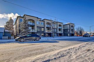 Photo 39: 210 201 20 Avenue NE in Calgary: Tuxedo Park Apartment for sale : MLS®# A2101681