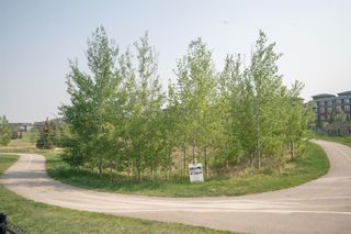Photo 44: 48 Nolanlake View NW in Calgary: Nolan Hill Detached for sale : MLS®# A2050257