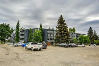 Photo 24: 336 820 89 Avenue SW in Calgary: Haysboro Apartment for sale : MLS®# A2137657