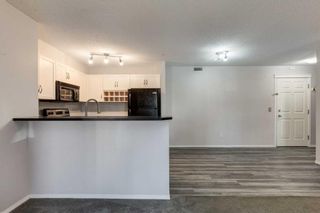 Photo 9: 1210 115 Prestwick Villas SE in Calgary: McKenzie Towne Apartment for sale : MLS®# A2125964