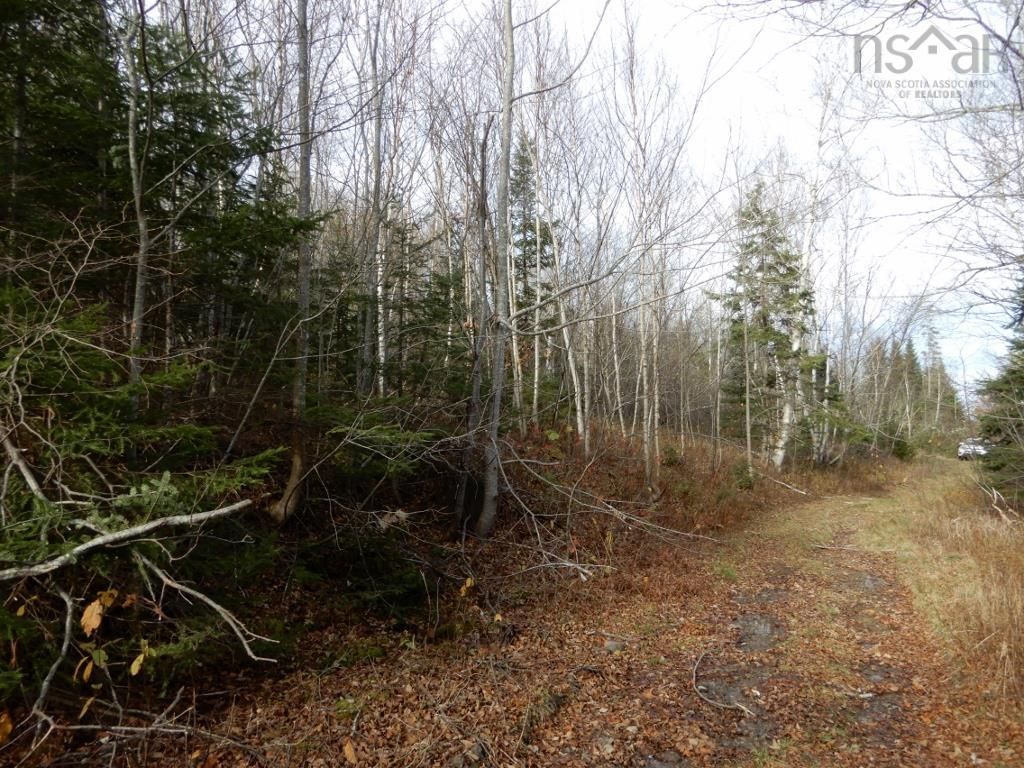 Main Photo: Old Graham Road in Salt Springs: 108-Rural Pictou County Vacant Land for sale (Northern Region)  : MLS®# 202226186