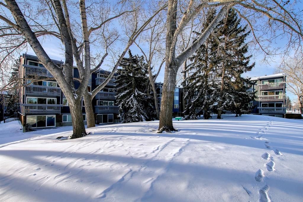 Main Photo: 327 820 89 Avenue SW in Calgary: Haysboro Apartment for sale : MLS®# A1170010