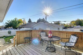 Photo 14: 1711 65 Street NE in Calgary: Pineridge Detached for sale : MLS®# A1038776