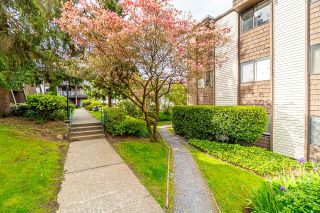 Photo 28: 119 3911 CARRIGAN Court in Burnaby: Government Road Condo for sale in "LOUGHEED ESTATES" (Burnaby North)  : MLS®# R2686721