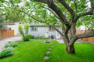 Photo 31: 1719 62 Avenue SE in Calgary: Ogden Detached for sale : MLS®# A1232618