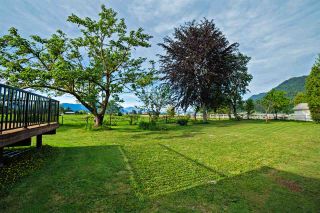 Photo 18: 39237 VYE Road in Abbotsford: Sumas Prairie House for sale in "SUMAS FLATS" : MLS®# R2067676