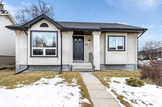 Photo 23: 217 Marquis Place SE: Airdrie Detached for sale : MLS®# A1175699