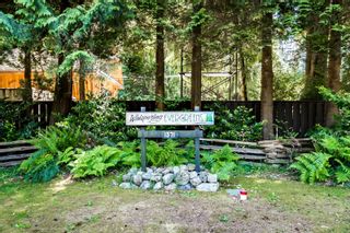 Photo 40: 1371 SUNSHINE COAST Highway in Gibsons: Gibsons & Area House for sale (Sunshine Coast)  : MLS®# R2787102