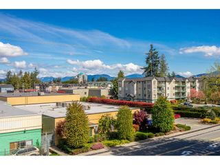 Photo 20: 403 2350 WESTERLY Street in Abbotsford: Abbotsford West Condo for sale in "Stonecroft Estates" : MLS®# R2359486