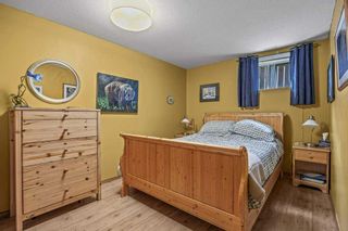 Photo 31: 3 Cougar Court: Canmore Detached for sale : MLS®# A2081112