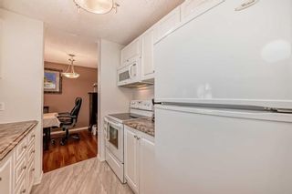 Photo 16: 118 20 Dover Point SE in Calgary: Dover Apartment for sale : MLS®# A2124249