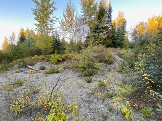 Photo 6: N1/2of DL7871 TAKLA FOREST Road in Prince George: Nechako Ridge Land for sale in "McPhee Road" (PG City North)  : MLS®# R2768067