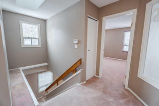 Photo 25: 2123 24 Avenue NW in Calgary: Banff Trail Detached for sale : MLS®# A2086439