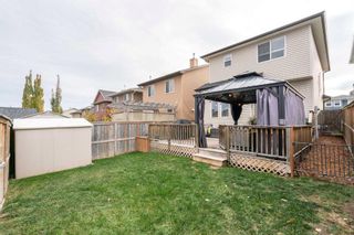 Photo 28: 42 Evansford Circle NW in Calgary: Evanston Detached for sale : MLS®# A2087912
