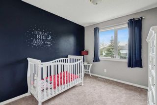 Photo 27: 155 Inverness Way SE in Calgary: McKenzie Towne Detached for sale : MLS®# A2059949