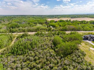 Photo 6: 113 Silverhorn Ridge in Rural Rocky View County: Rural Rocky View MD Residential Land for sale : MLS®# A2132069