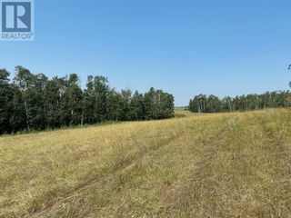 Photo 3: Range Road 23-1 in Rural Lacombe County: Vacant Land for sale : MLS®# A1133348