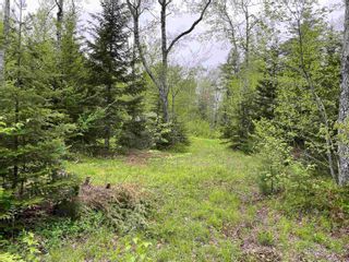 Photo 5: Lot 2 17 Mill Road Forks in Mount Uniacke: 105-East Hants/Colchester West Vacant Land for sale (Halifax-Dartmouth)  : MLS®# 202212137