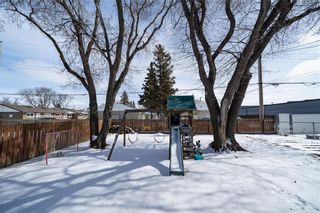 Photo 34: 164 RIDLEY Place in Winnipeg: Crestview Residential for sale (5H)  : MLS®# 202404849