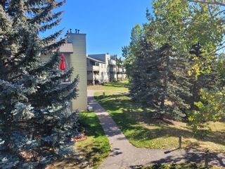 Photo 28: 1324 60 Glamis Drive SW in Calgary: Glamorgan Apartment for sale : MLS®# A2002664