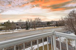 Photo 30: 8116 bowness Road NW in Calgary: Bowness Detached for sale : MLS®# A1205521