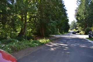 Photo 3: 12765 14 Avenue in Surrey: Crescent Bch Ocean Pk. Land for sale (South Surrey White Rock)  : MLS®# R2856266