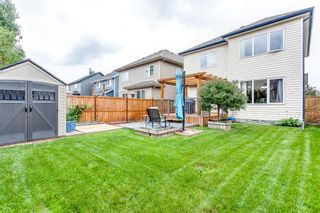 Photo 36: 818 Copperfield Boulevard SE in Calgary: Copperfield Detached for sale : MLS®# A1242431