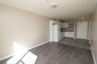 Photo 4: 222 1010 Railway Street: Crossfield Apartment for sale : MLS®# A2136830