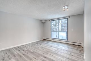 Photo 17: 306 1732 9A Street SW in Calgary: Lower Mount Royal Apartment for sale : MLS®# A2117753