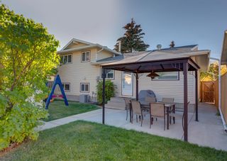 Photo 26: 1716 42 Street NE in Calgary: Rundle Detached for sale : MLS®# A2005616