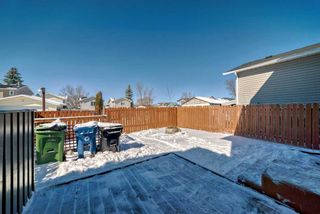 Photo 30: 76 Martinbrook Road NE in Calgary: Martindale Detached for sale : MLS®# A2119222
