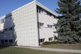 Photo 16: 102 8607 Elbow Drive SW in Calgary: Haysboro Apartment for sale : MLS®# A1206829