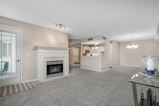 Photo 19: 319 9449 19 Street SW in Calgary: Palliser Apartment for sale : MLS®# A1050342