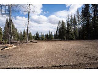 Photo 8: 4812 CRANBROOK HILL ROAD in Prince George: Vacant Land for sale : MLS®# R2848151