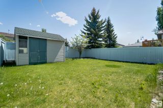 Photo 43: 4707 190 Street NW in Edmonton: Zone 20 House for sale : MLS®# E4299021