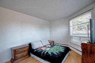 Photo 14: 101 1712 38 Street SE in Calgary: Forest Lawn Apartment for sale : MLS®# A1242140