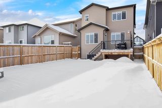 Photo 28: 78 Nolancrest Rise NW in Calgary: Nolan Hill Detached for sale : MLS®# A2027589