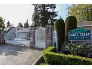 Photo 2: 43 21848 50TH Avenue in Langley: Murrayville Townhouse for sale in "Cedar Crest" : MLS®# R2057565