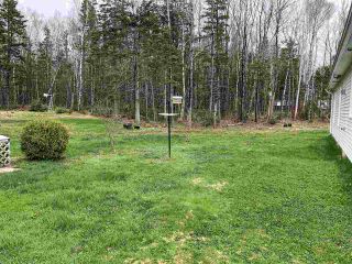 Photo 17: 533 FOREST GLADE Road in Forest Glade: 400-Annapolis County Residential for sale (Annapolis Valley)  : MLS®# 202007642