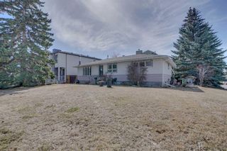 Photo 3: 3503 41 Street SW in Calgary: Glenbrook Detached for sale : MLS®# A2117864