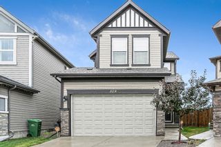 Photo 1: 319 Walden Mews SE in Calgary: Walden Detached for sale : MLS®# A1217219