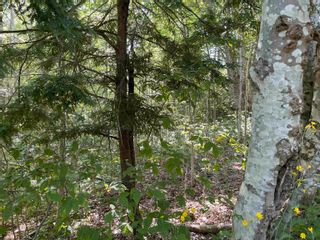Photo 11: Lot 21-1 Seaview Cemetary Road in Bay View: 108-Rural Pictou County Vacant Land for sale (Northern Region)  : MLS®# 202219438
