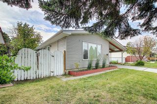 Photo 23: 9839 AUBURN Road SE in Calgary: Acadia Detached for sale : MLS®# A1018149