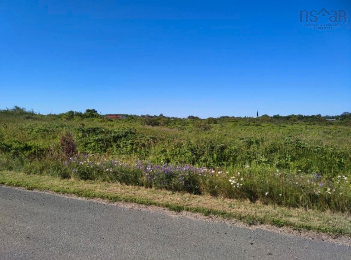 Main Photo: Lot 0 Davidson Street in Glace Bay: 203-Glace Bay Vacant Land for sale (Cape Breton)  : MLS®# 202304209