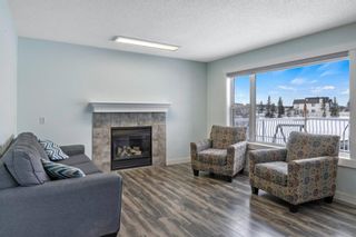 Photo 13: 15 Martha’s Way NE in Calgary: Martindale Detached for sale : MLS®# A1186356