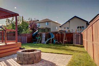 Photo 30: 279 CHAPALINA Terrace SE in Calgary: Chaparral House for sale : MLS®# C4128553