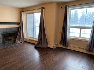 Photo 10: 104 4405 48 Avenue: Red Deer Apartment for sale : MLS®# A2015295