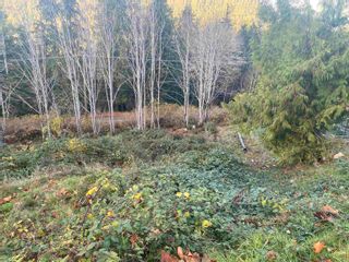 Photo 8: LOT 3 CECIL HILL Road in Madeira Park: Pender Harbour Egmont Land for sale in "CECIL HILL" (Sunshine Coast)  : MLS®# R2632894