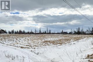 Photo 24: Lot Route 960 in Cape Spear: Vacant Land for sale : MLS®# M157349